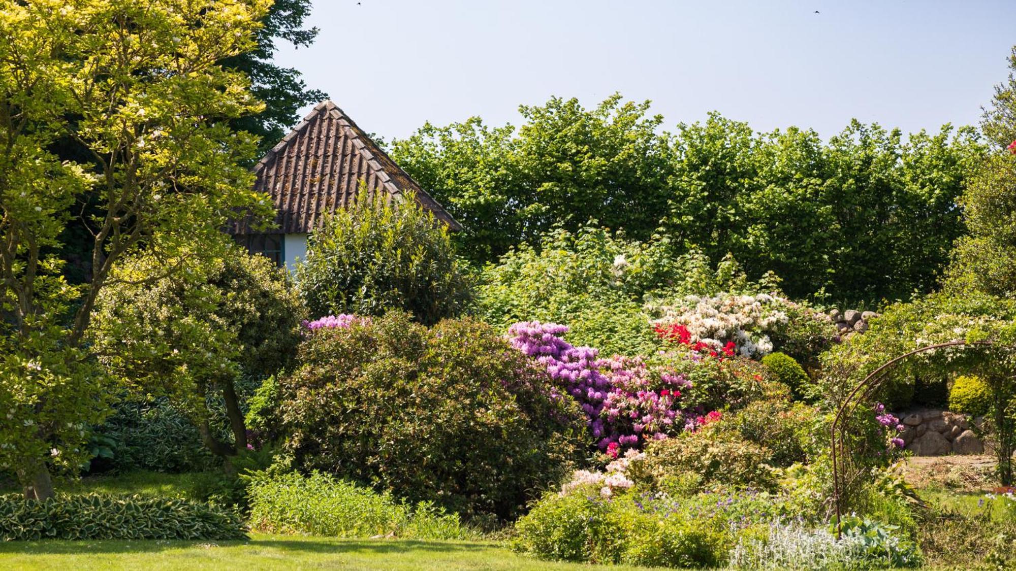 Sjaelegard Countryside Lodge Allinge-Sandvig Extérieur photo