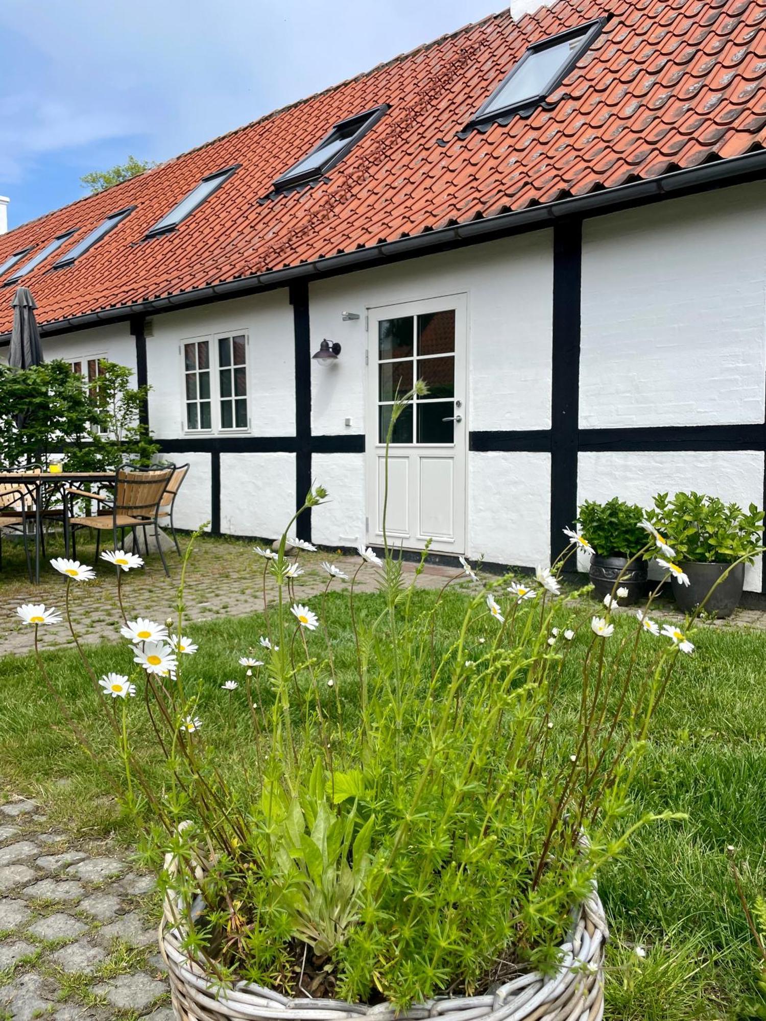 Sjaelegard Countryside Lodge Allinge-Sandvig Extérieur photo